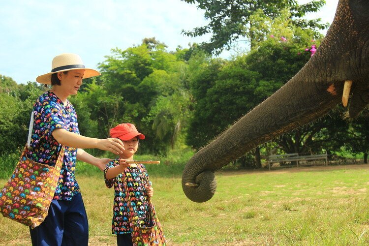 3 Mejores Itinerarios para Tailandia en 15 Días